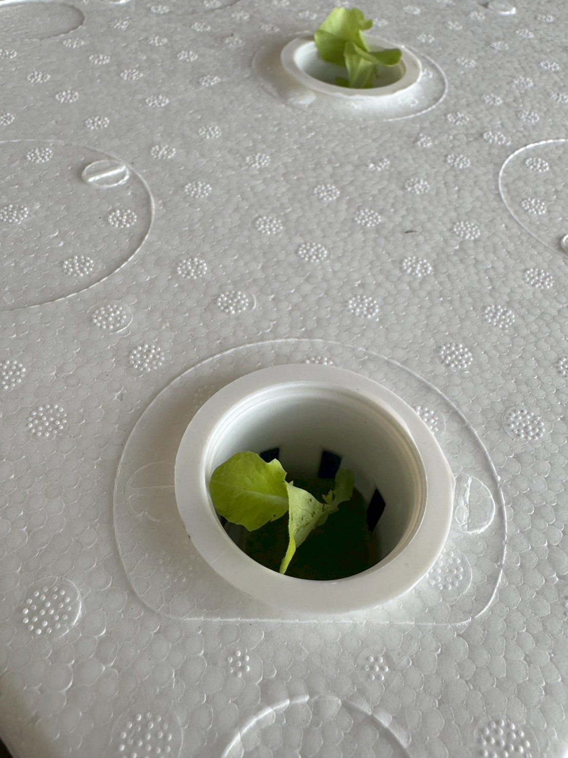 title - ส.ป.ก.จันทบุรี ดำเนินการฝึกอบรม โครงการเพิ่มศักยภาพระบบงานเกษตรภายใต้แผนพัฒนาเด็กและเยาวชนในถิ่นทุรกันดาร ตามพระราชดำริ สมเด็จพระเทพรัตนราชสุดาฯ สยามบรมราชกุมารี ประจำปีงบประมาณ พ.ศ. 2569 